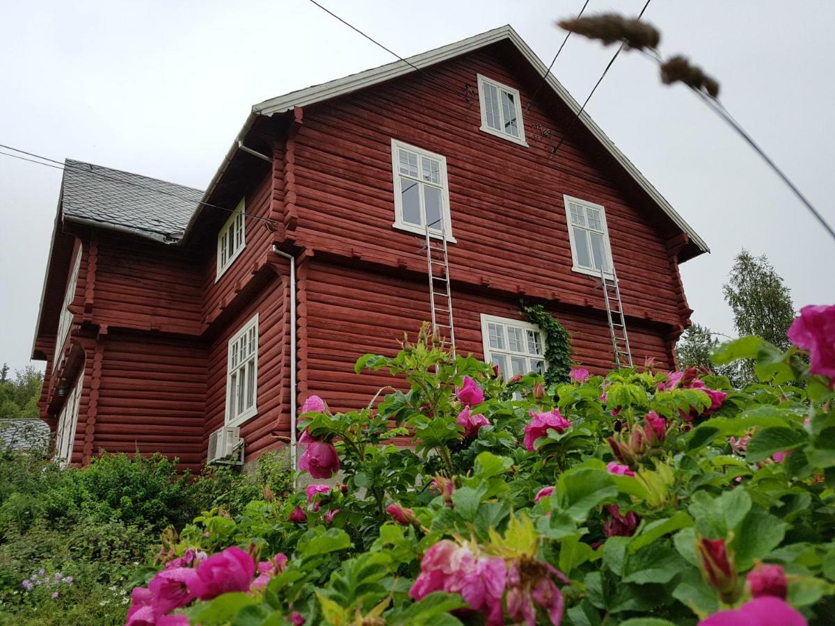 Haugtun Gardspensjonat Og Leiligheter Nordre Land Eksteriør billede